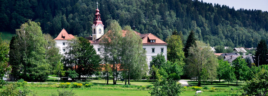 Psihiatrična bolnišnica Begunje