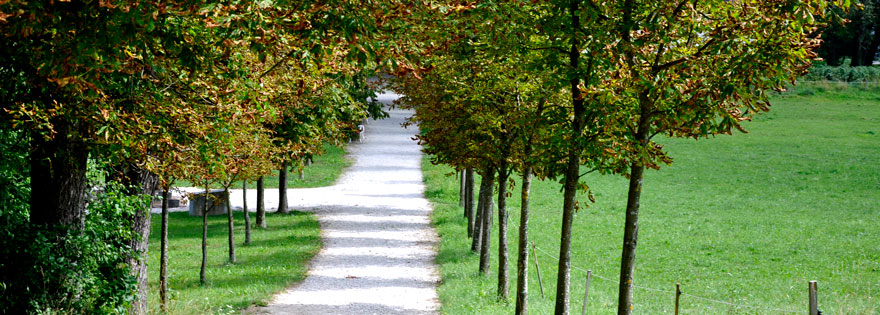 Psihiatrična bolnišnica Begunje