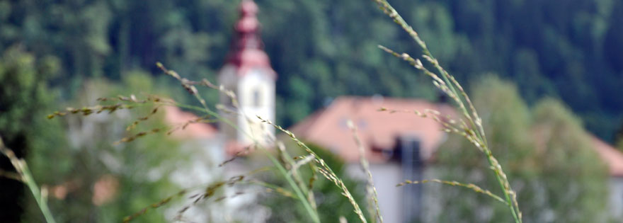 Psihiatrična bolnišnica Begunje