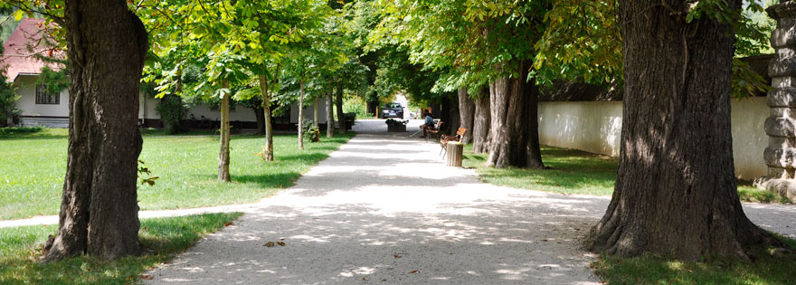 Psihiatrična bolnišnica Begunje