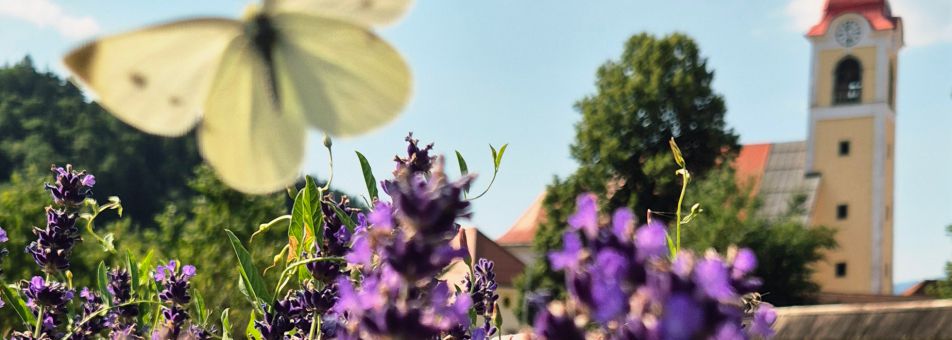 Psihiatrična bolnišnica Begunje