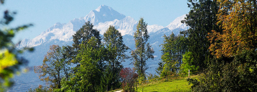 Psihiatrična bolnišnica Begunje